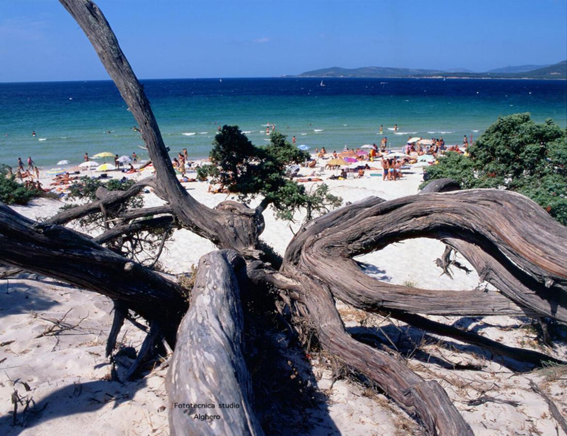 B&B Lamarina Alghero Zewnętrze zdjęcie